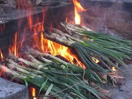calçots