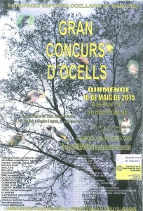ocells