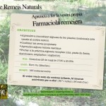 remeis naturals