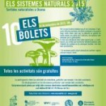 els bolets